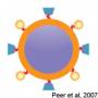 labmembers:bl_spio_diagram.jpg
